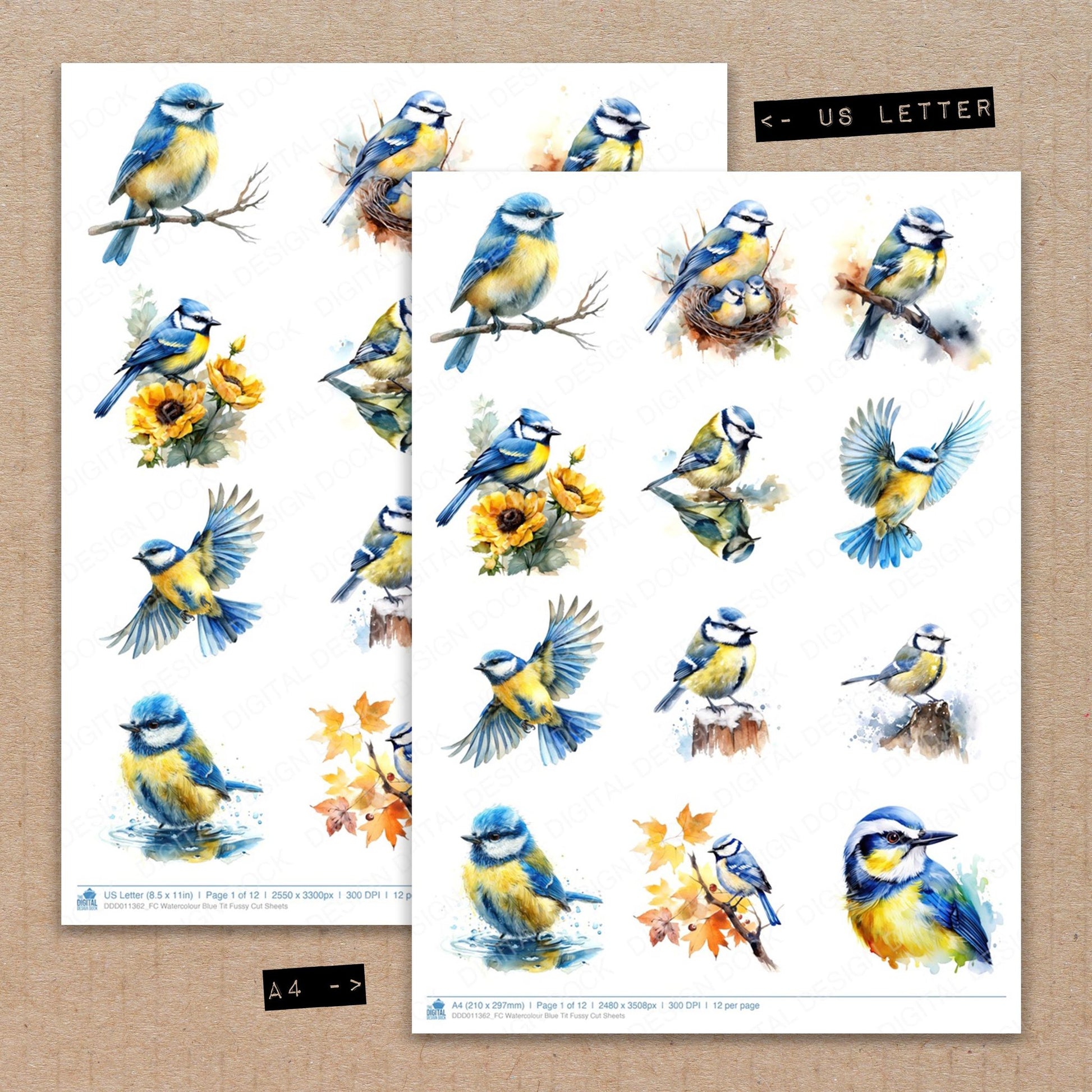 A4 and US Letter format comparison showing Watercolour Blue Tit fussy cut pages for print and cut crafting