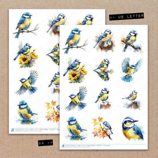 A4 and US Letter format comparison showing Watercolour Blue Tit fussy cut pages for print and cut crafting