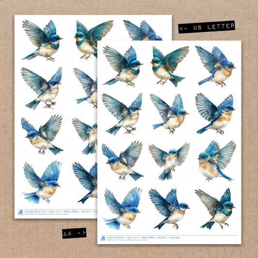 Watercolour Bluebird Fussy Cut Sheets (DDD011365)