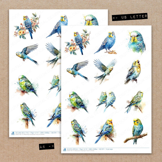 A4 and US Letter format comparison showing Watercolour Budgerigar fussy cut pages for print and cut crafting