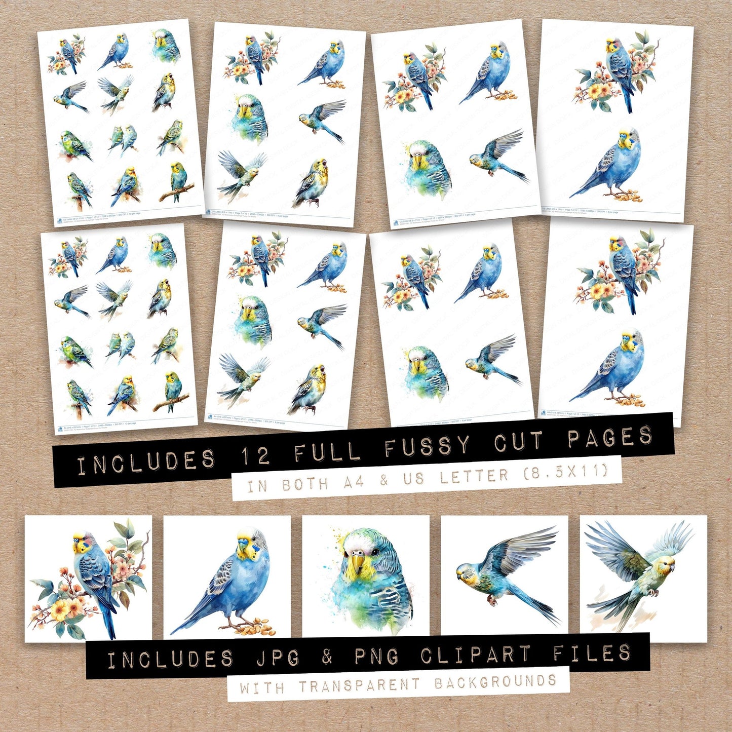 Full collection view of Watercolour Budgerigar fussy cut sheets with bonus clipart JPG and PNG files