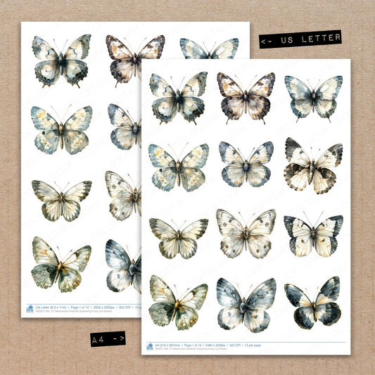 A4 and US Letter format comparison showing Watercolour Butterfly Glasswing fussy cut pages for print and cut crafting