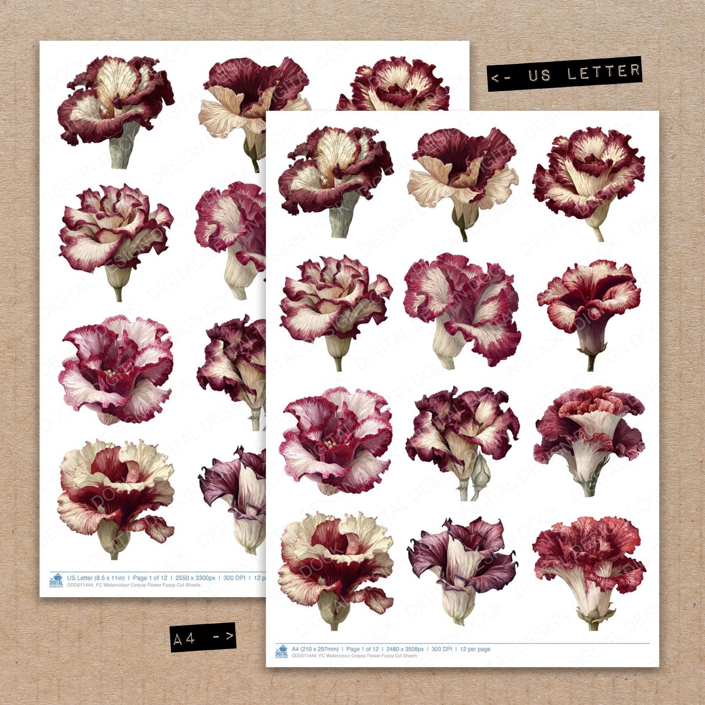 A4 and US Letter format comparison showing Watercolour Corpse Flower fussy cut pages for print and cut crafting