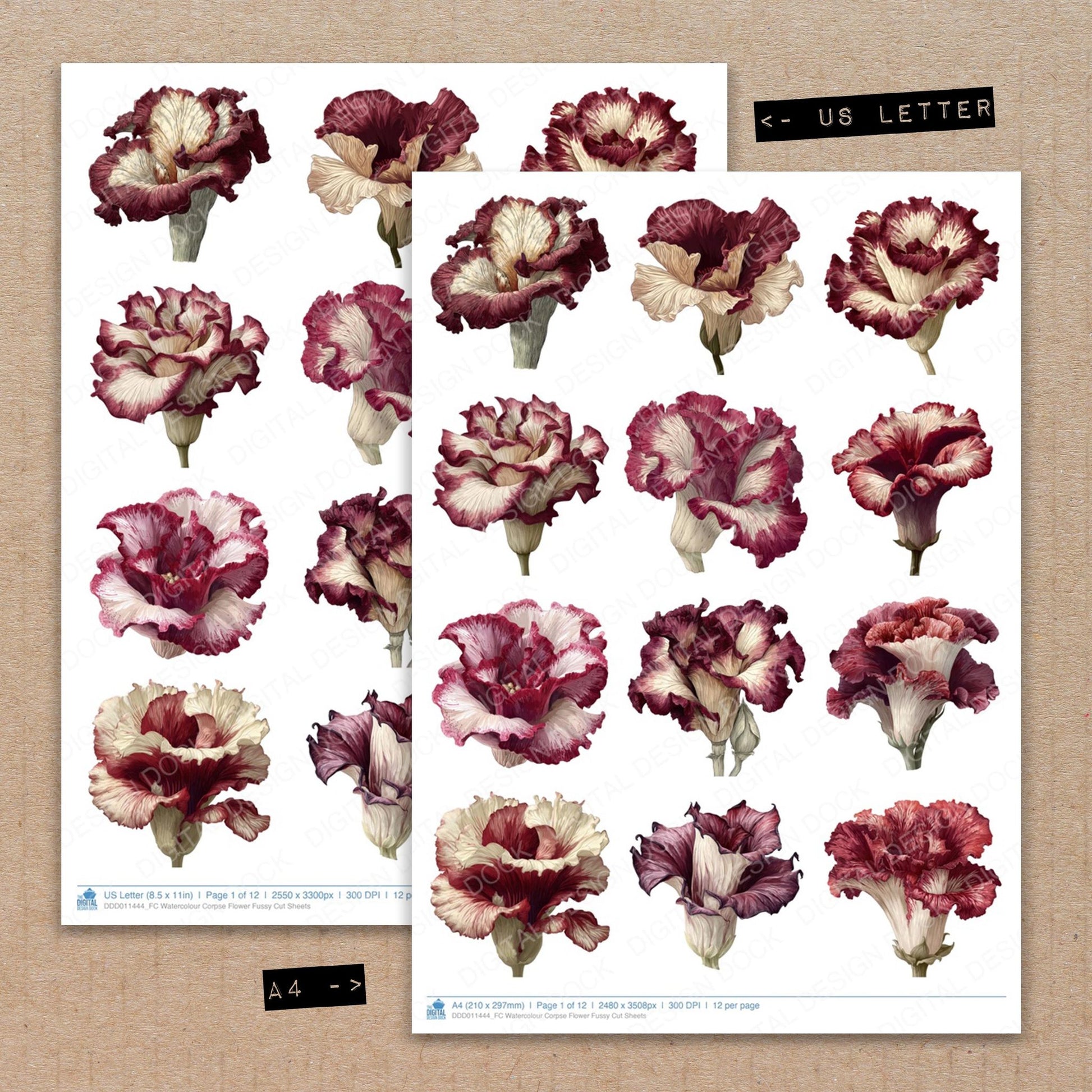 A4 and US Letter format comparison showing Watercolour Corpse Flower fussy cut pages for print and cut crafting