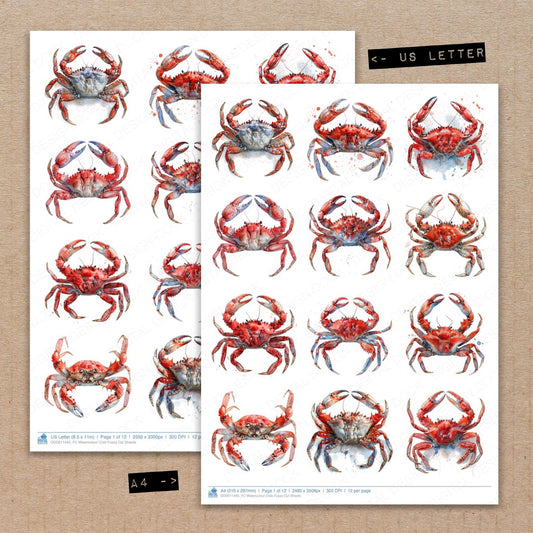 A4 and US Letter format comparison showing Watercolour Crab fussy cut pages for print and cut crafting