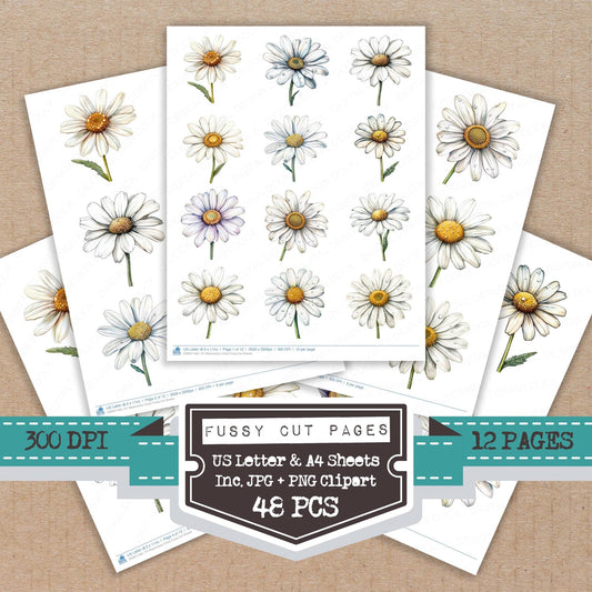 Watercolour Daisy Fussy Cut Sheets (DDD011462)