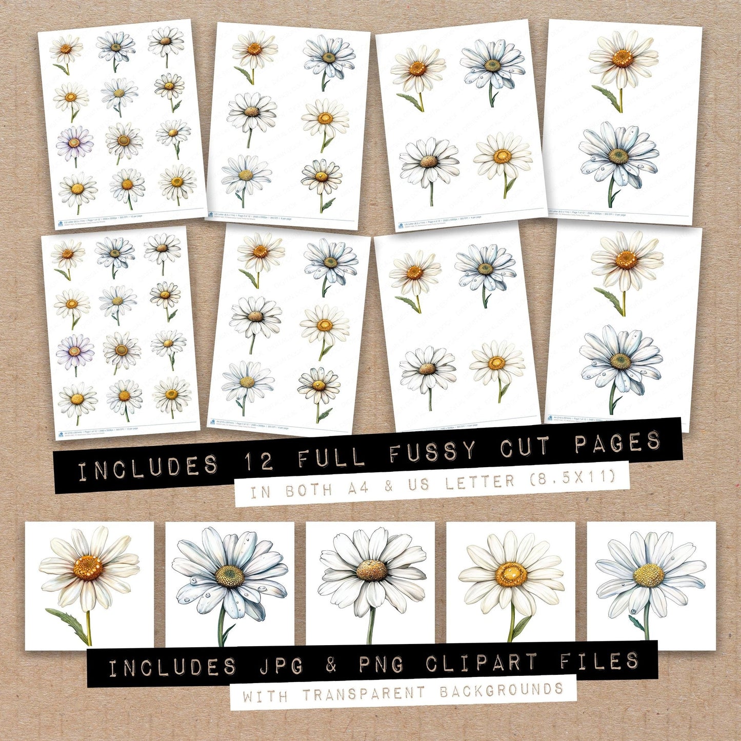 Watercolour Daisy Fussy Cut Sheets (DDD011462)