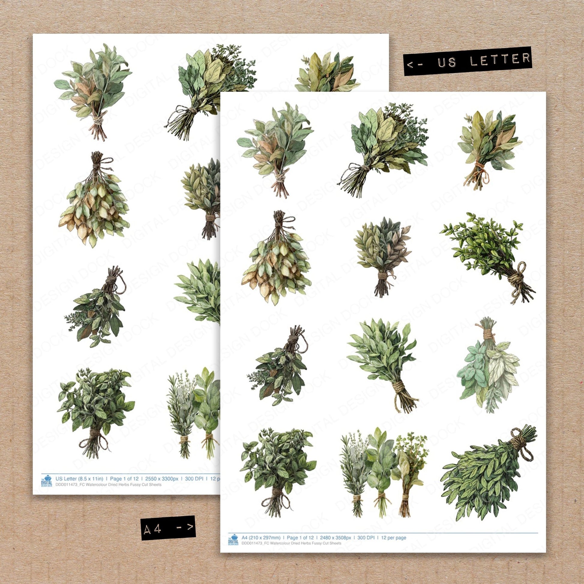 A4 and US Letter format comparison showing Watercolour Dried Herbs fussy cut pages for print and cut crafting