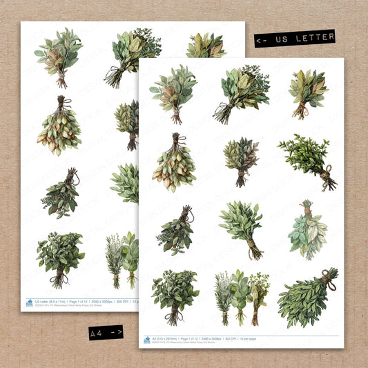 A4 and US Letter format comparison showing Watercolour Dried Herbs fussy cut pages for print and cut crafting