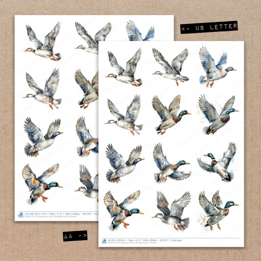 A4 and US Letter format comparison showing Watercolour Duck in Mid flight fussy cut pages for print and cut crafting
