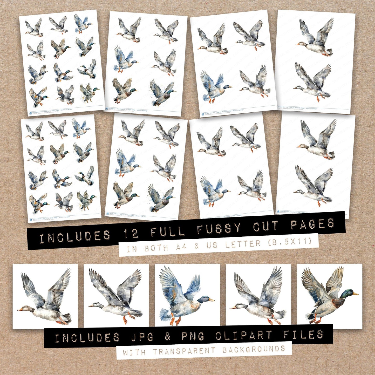 Full collection view of Watercolour Duck in Mid flight fussy cut sheets with bonus clipart JPG and PNG files