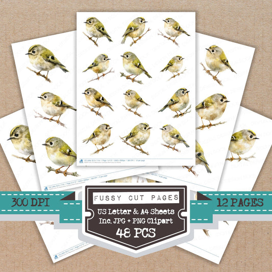 Watercolour Goldcrest Bird fussy cut printable sheets for junk journaling, scrapbooking, and paper craft projects