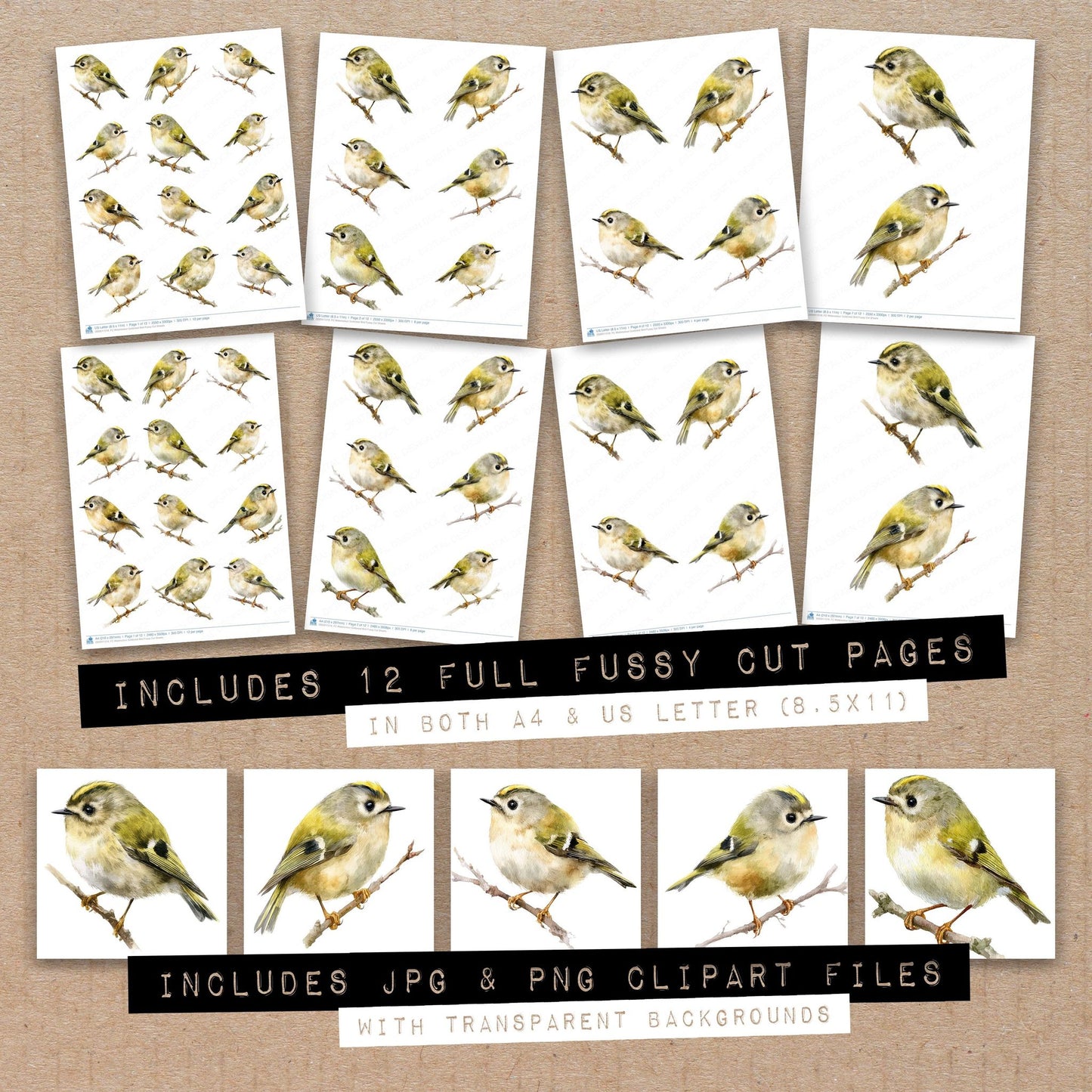 Full collection view of Watercolour Goldcrest Bird fussy cut sheets with bonus clipart JPG and PNG files