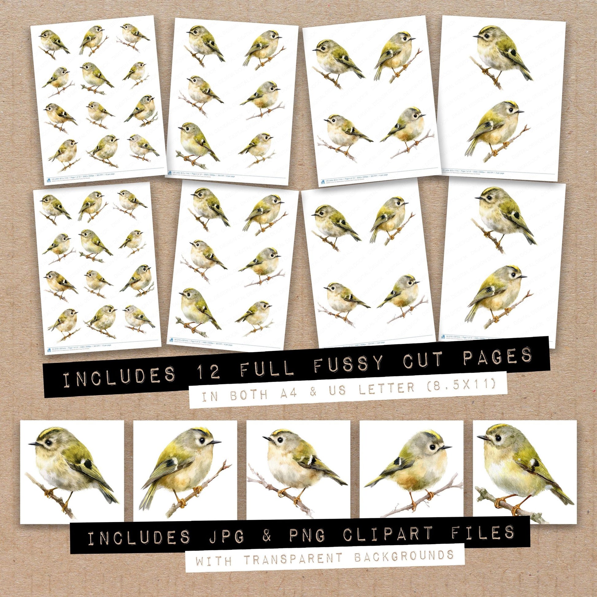 Full collection view of Watercolour Goldcrest Bird fussy cut sheets with bonus clipart JPG and PNG files