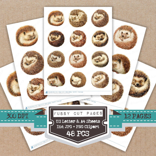 Watercolour Hedgehog Curl fussy cut printable sheets for junk journaling, scrapbooking, and paper craft projects