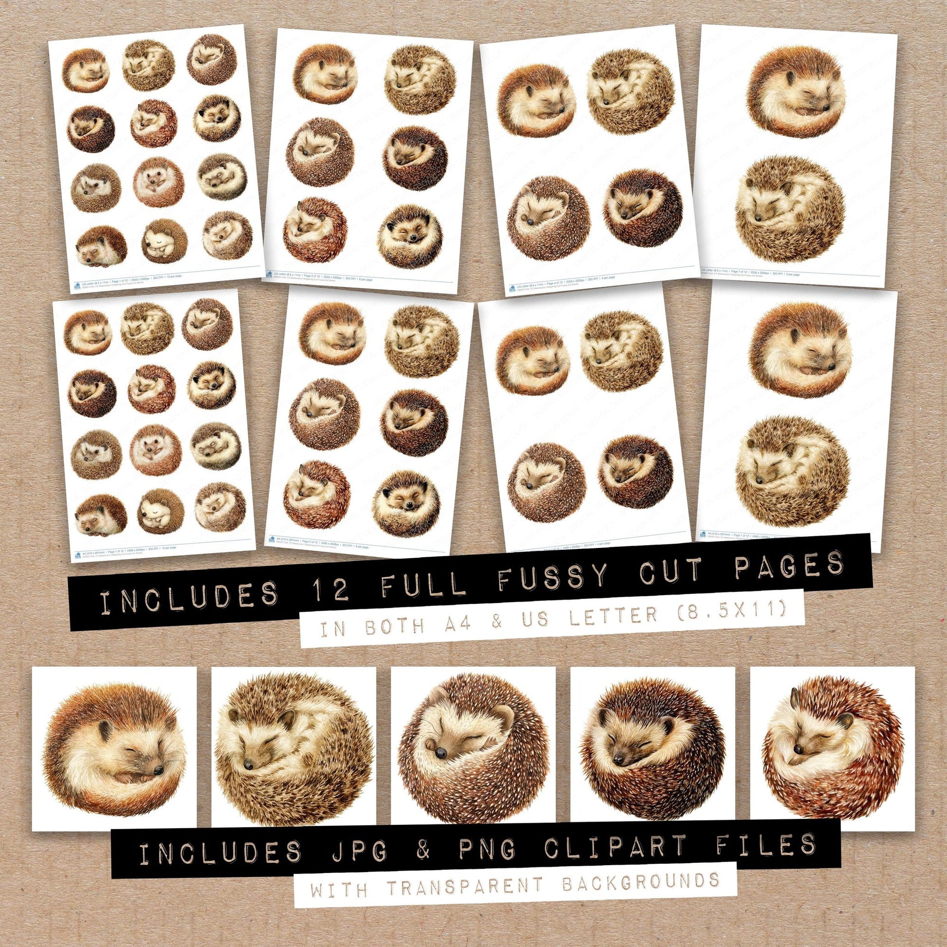 Full collection view of Watercolour Hedgehog Curl fussy cut sheets with bonus clipart JPG and PNG files