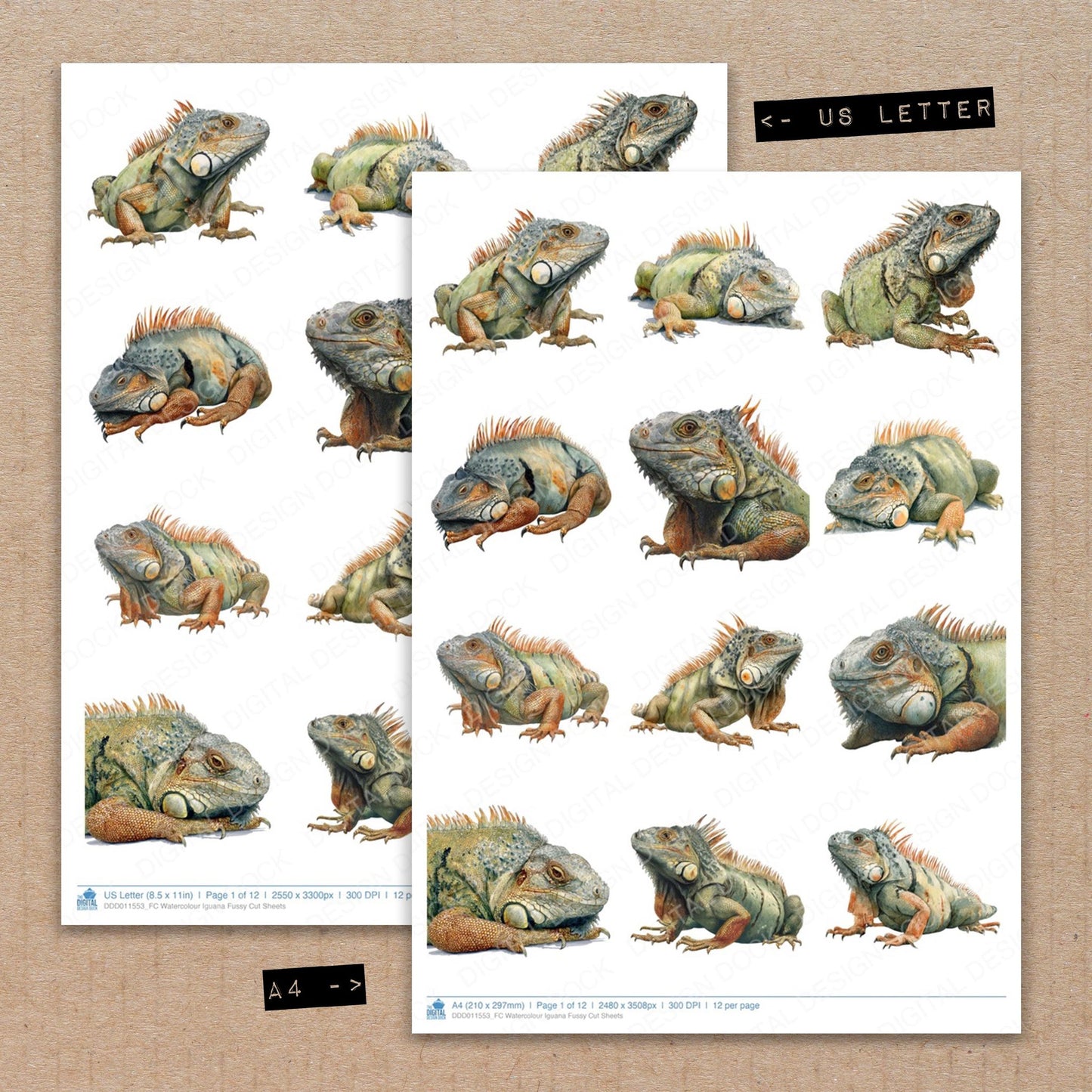A4 and US Letter format comparison showing Watercolour Iguana fussy cut pages for print and cut crafting