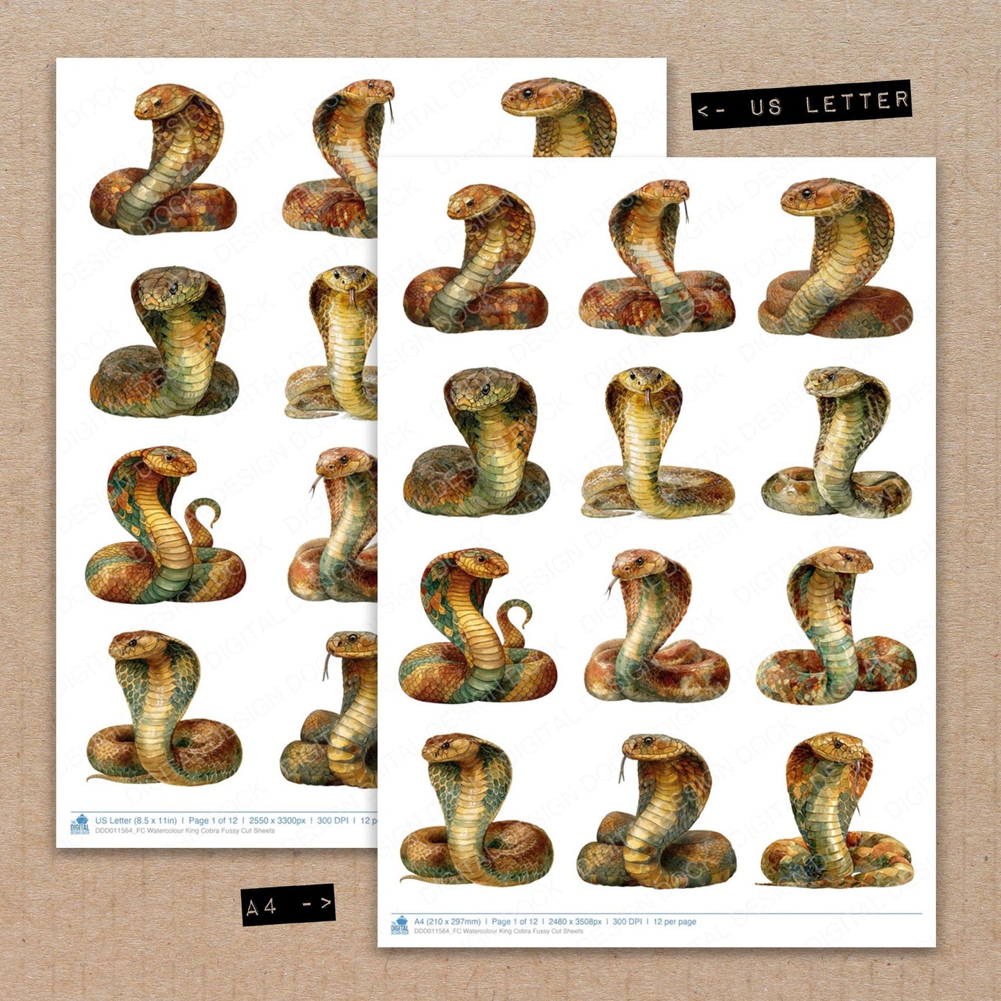 A4 and US Letter format comparison showing Watercolour King Cobra fussy cut pages for print and cut crafting