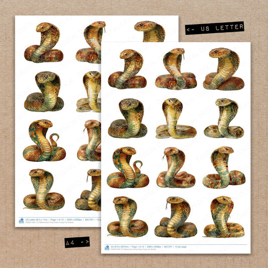 A4 and US Letter format comparison showing Watercolour King Cobra fussy cut pages for print and cut crafting