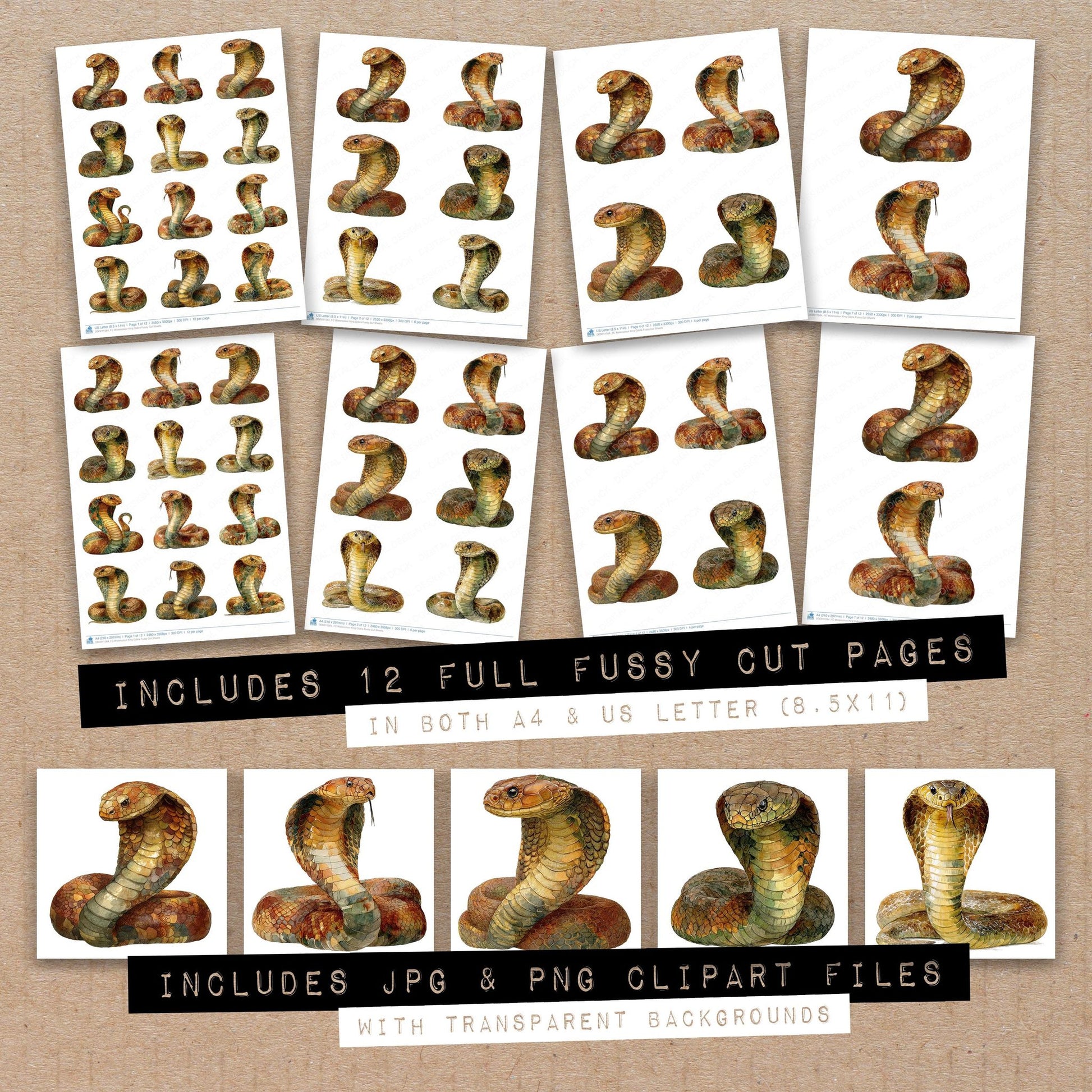 Full collection view of Watercolour King Cobra fussy cut sheets with bonus clipart JPG and PNG files