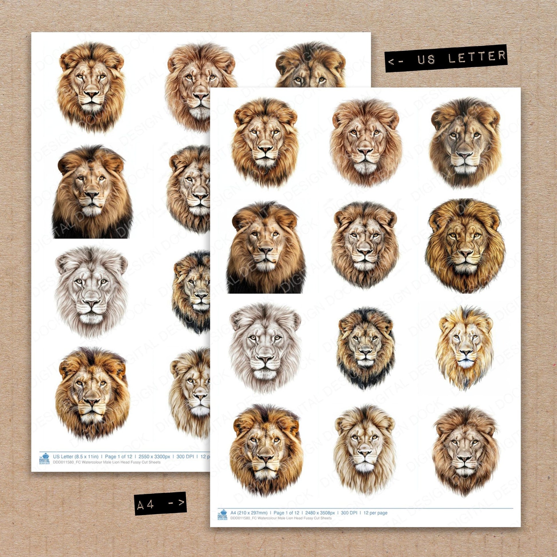 A4 and US Letter format comparison showing Watercolour Male Lion Head fussy cut pages for print and cut crafting