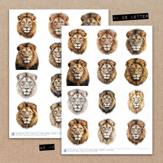 A4 and US Letter format comparison showing Watercolour Male Lion Head fussy cut pages for print and cut crafting