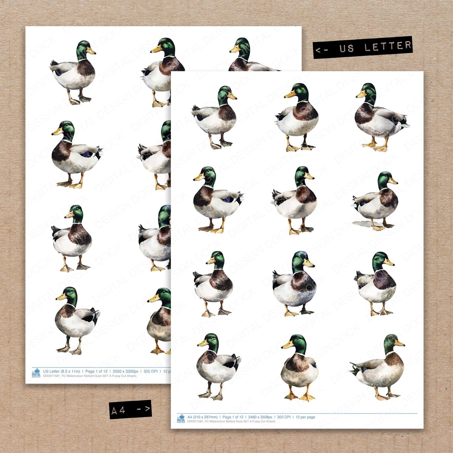 A4 and US Letter format comparison showing Watercolour Mallard Duck A fussy cut pages for print and cut crafting
