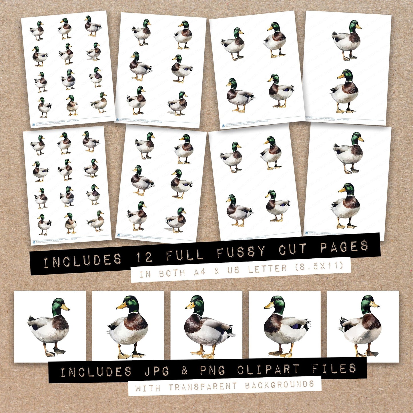Full collection view of Watercolour Mallard Duck A fussy cut sheets with bonus clipart JPG and PNG files