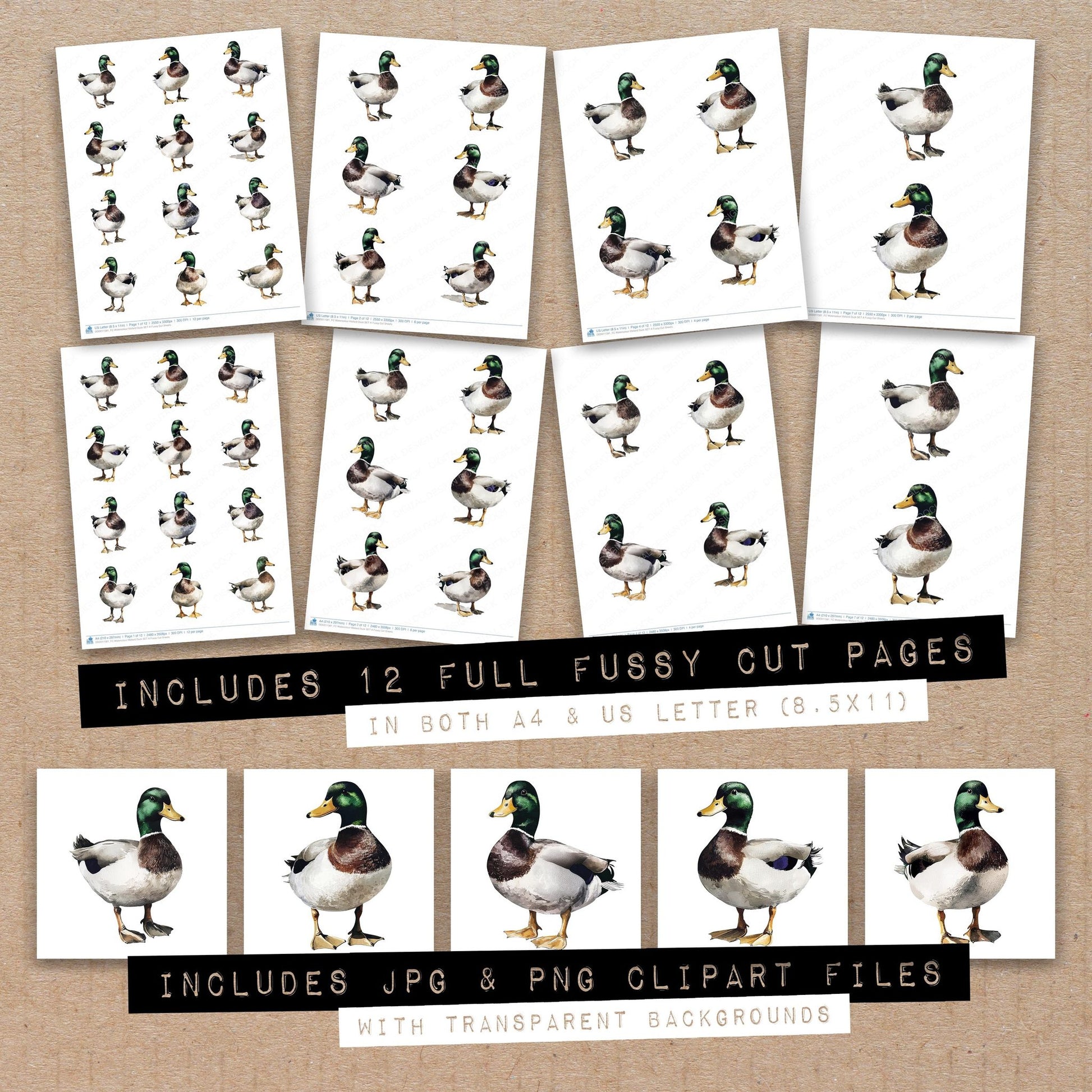 Full collection view of Watercolour Mallard Duck A fussy cut sheets with bonus clipart JPG and PNG files