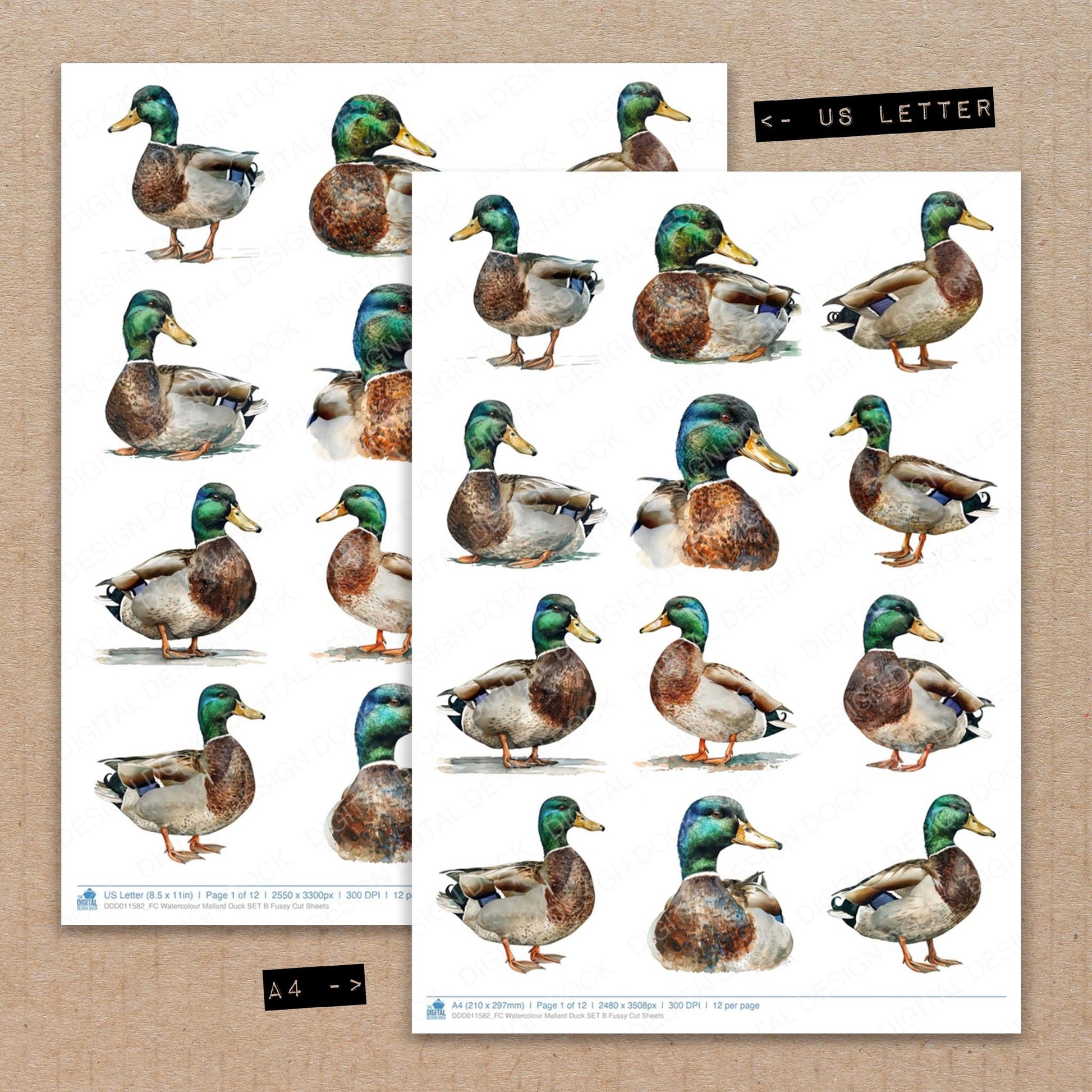 A4 and US Letter format comparison showing Watercolour Mallard Duck B fussy cut pages for print and cut crafting