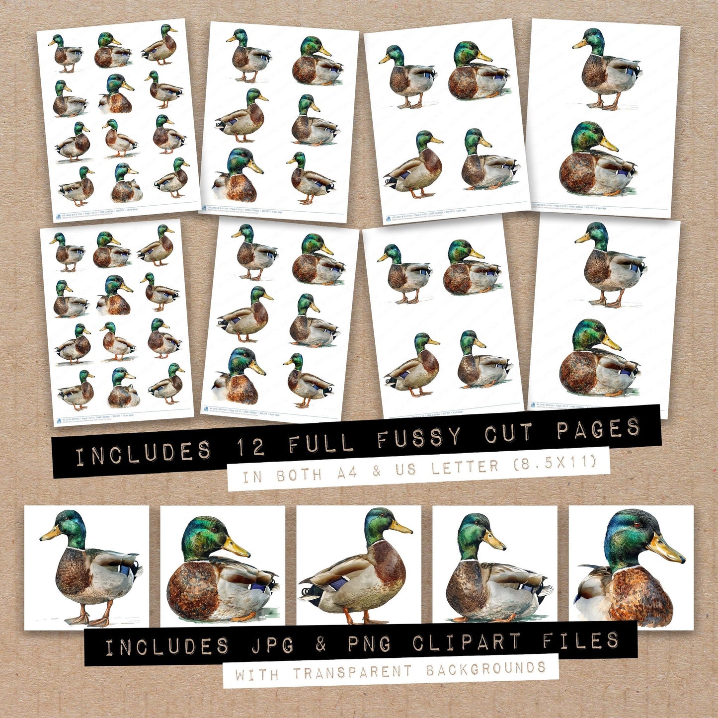Full collection view of Watercolour Mallard Duck B fussy cut sheets with bonus clipart JPG and PNG files