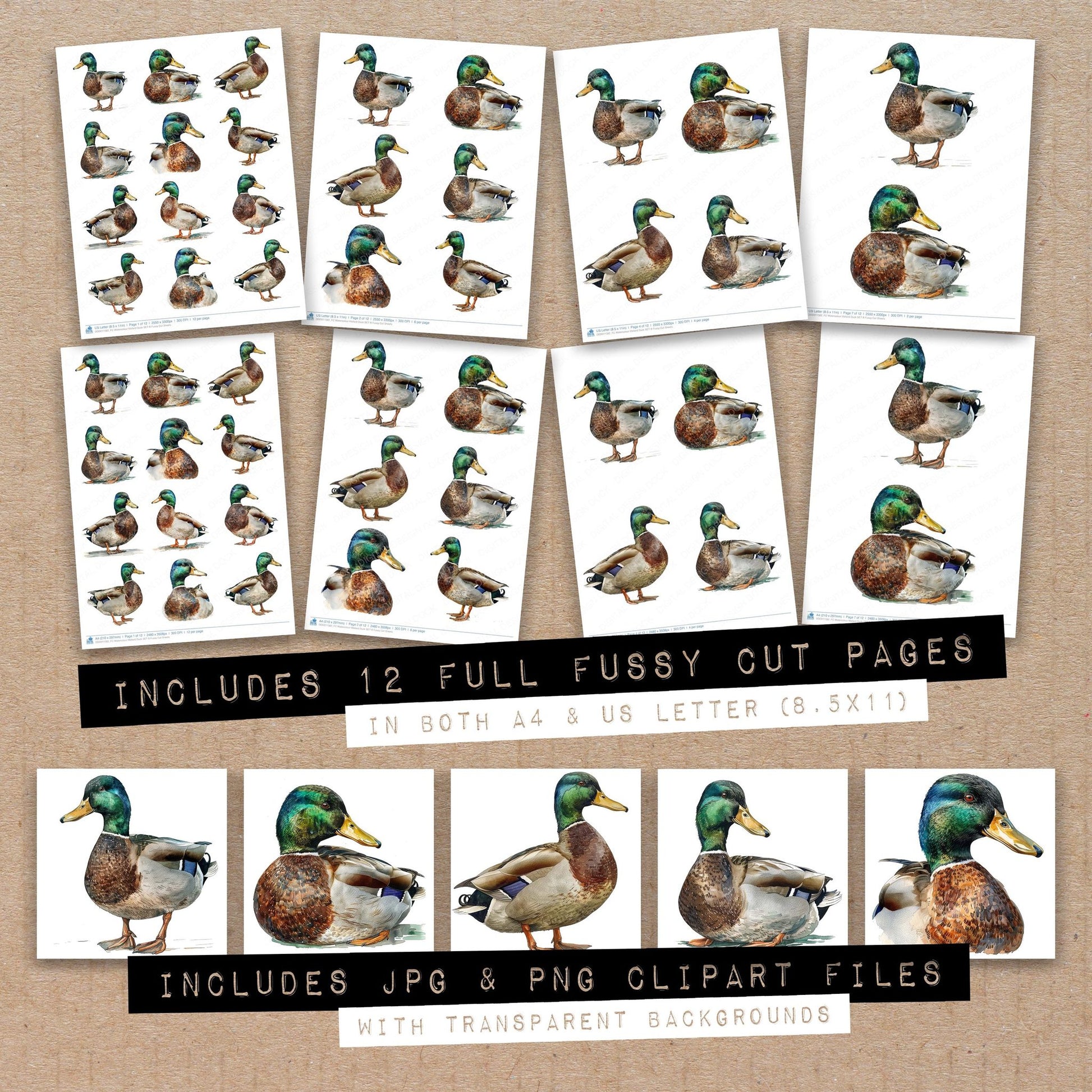 Full collection view of Watercolour Mallard Duck B fussy cut sheets with bonus clipart JPG and PNG files