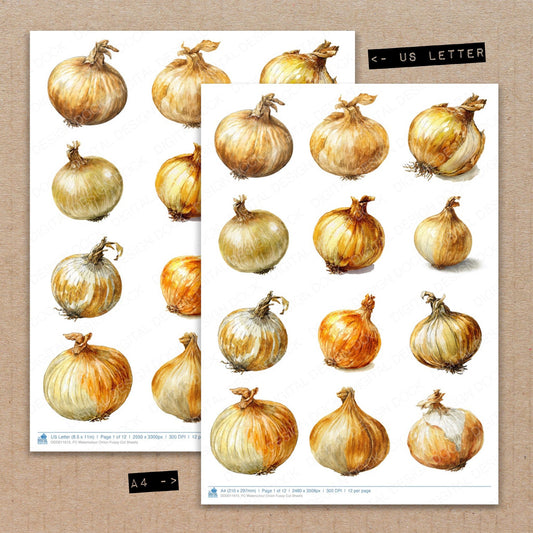 A4 and US Letter format comparison showing Watercolour Onion fussy cut pages for print and cut crafting