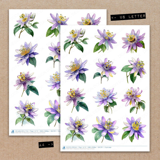 A4 and US Letter format comparison showing Watercolour Passionflower fussy cut pages for print and cut crafting
