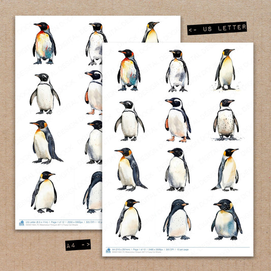 A4 and US Letter format comparison showing Watercolour Penguin C fussy cut pages for print and cut crafting