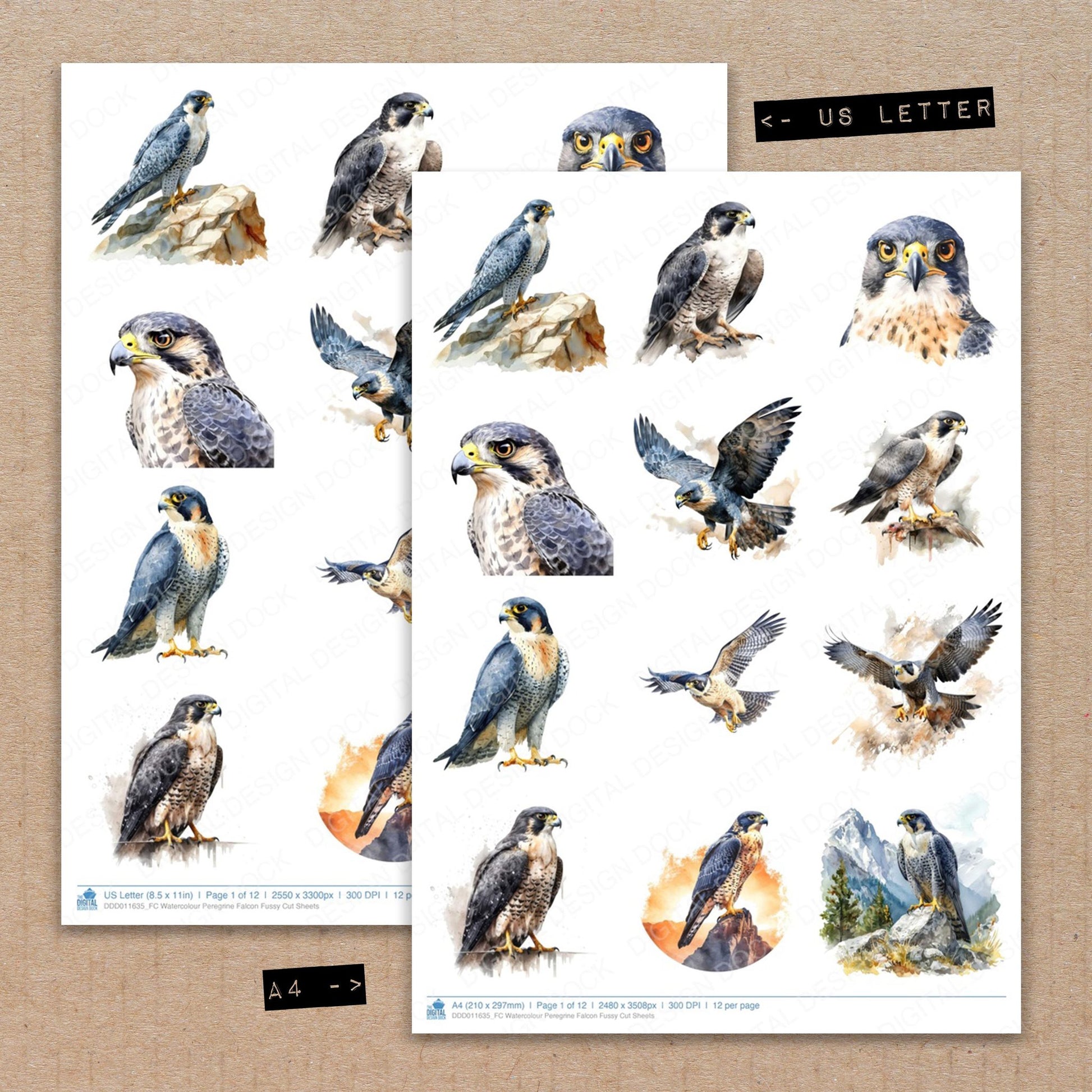 A4 and US Letter format comparison showing Watercolour Peregrine Falcon fussy cut pages for print and cut crafting