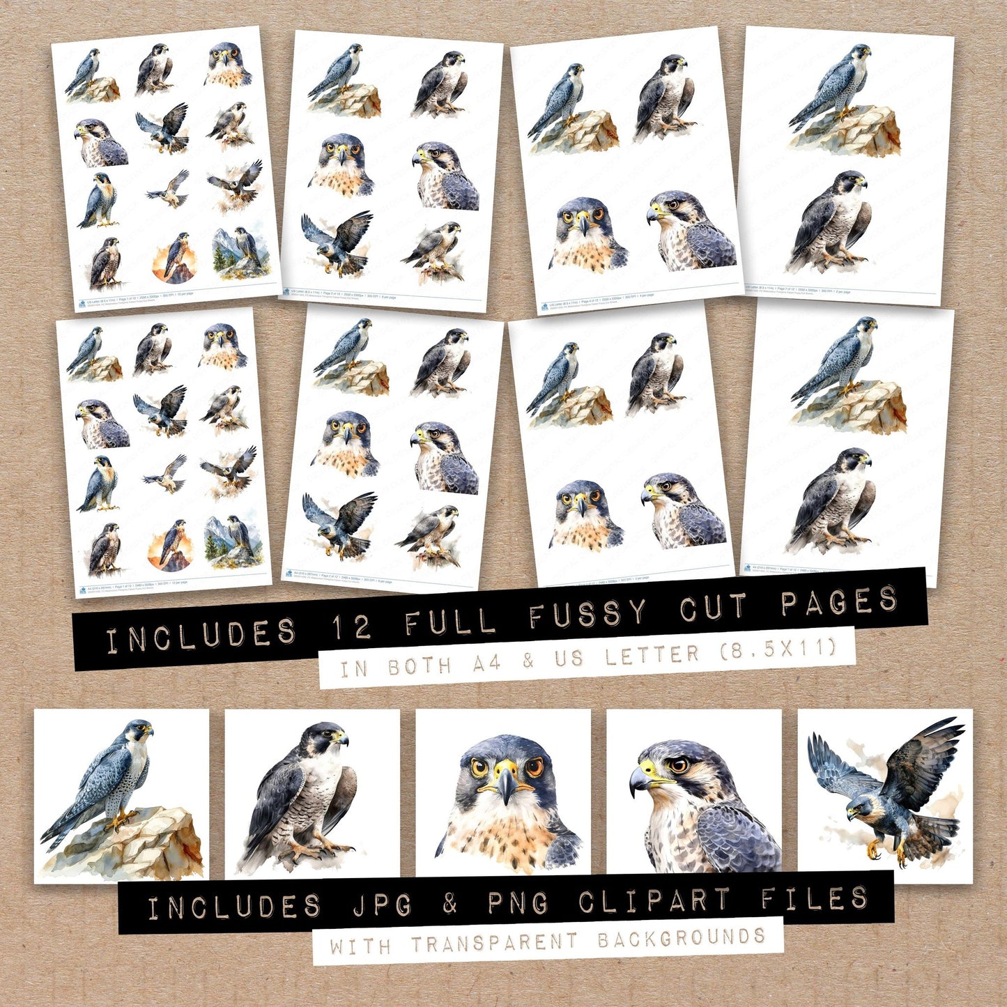 Full collection view of Watercolour Peregrine Falcon fussy cut sheets with bonus clipart JPG and PNG files
