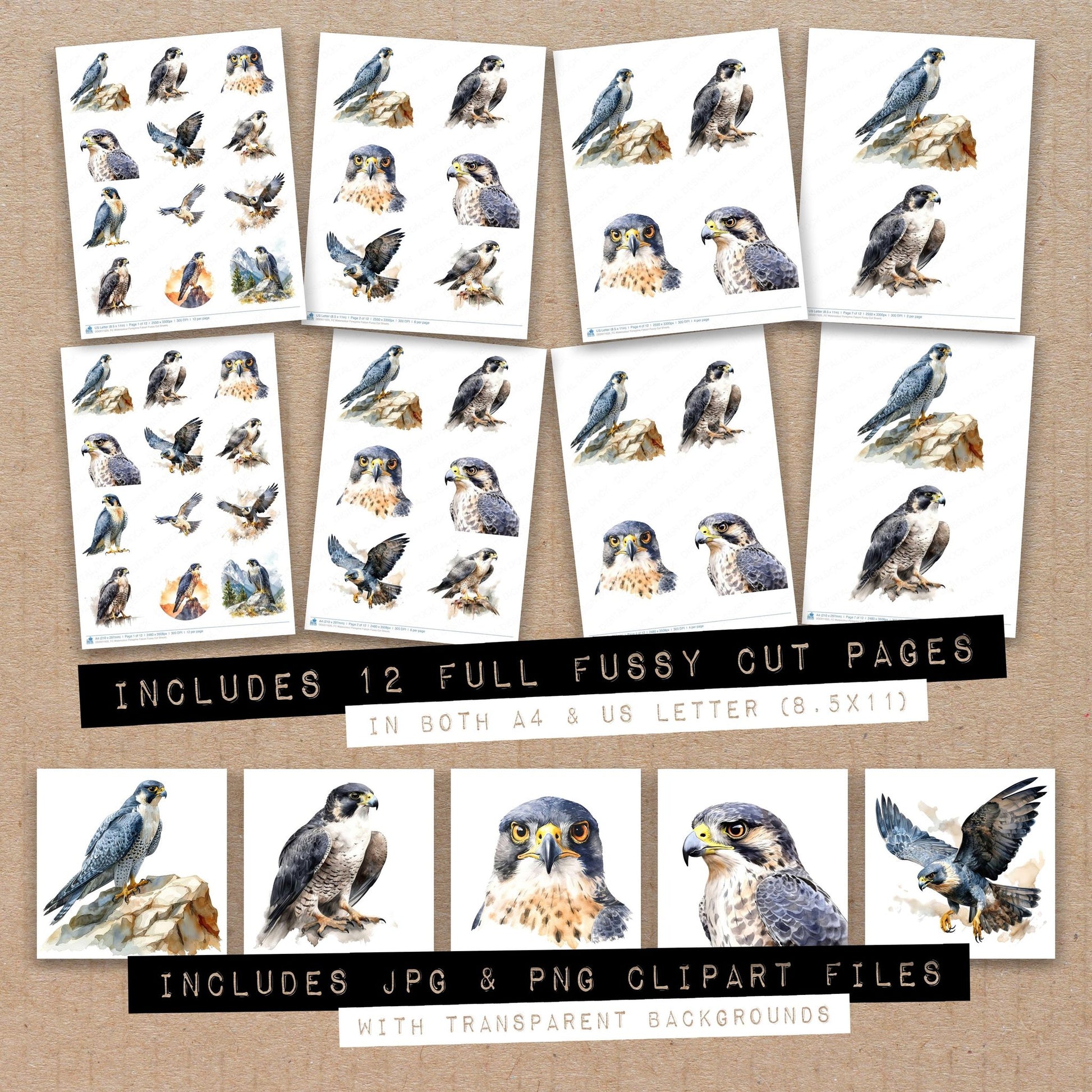 Full collection view of Watercolour Peregrine Falcon fussy cut sheets with bonus clipart JPG and PNG files