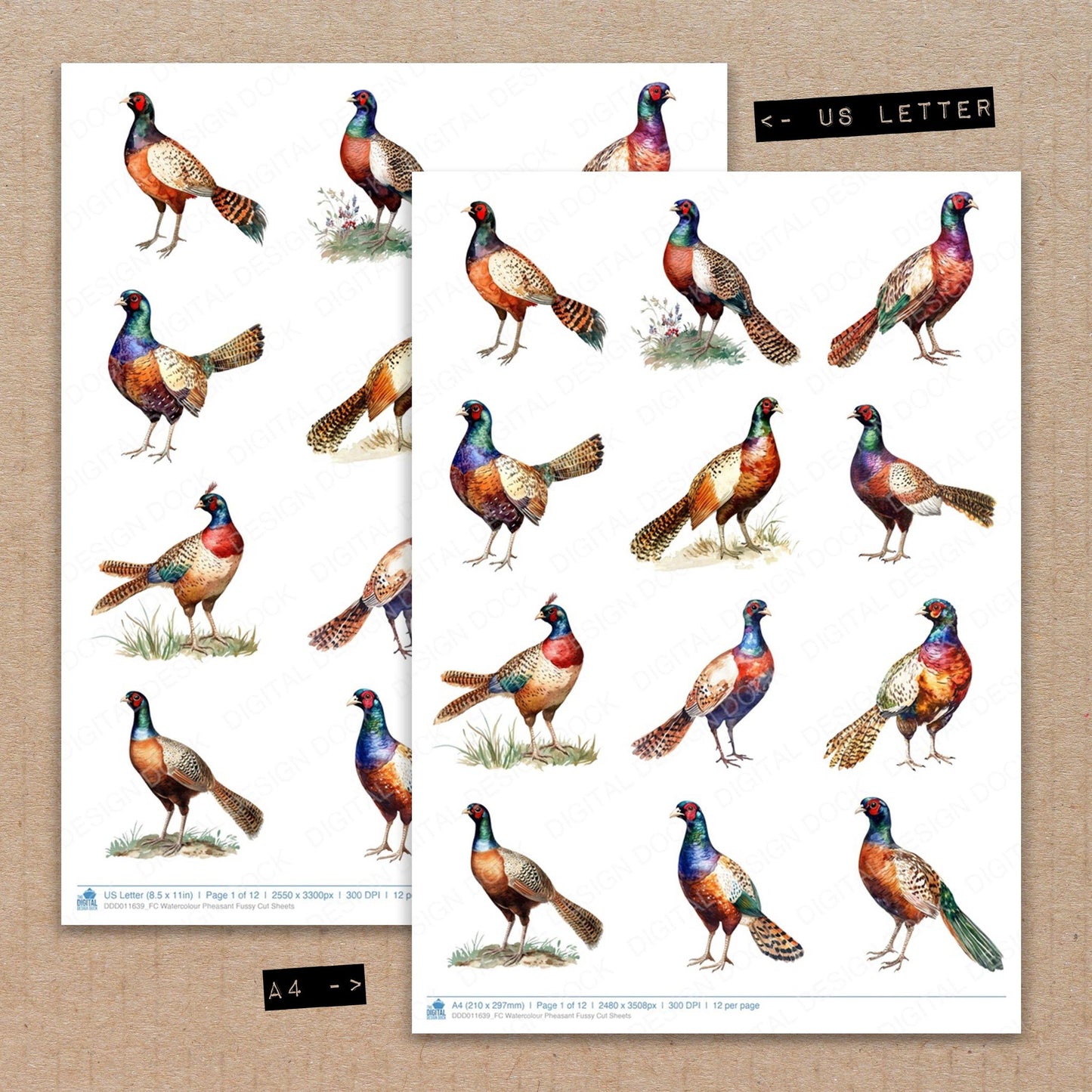 A4 and US Letter format comparison showing Watercolour Pheasant fussy cut pages for print and cut crafting