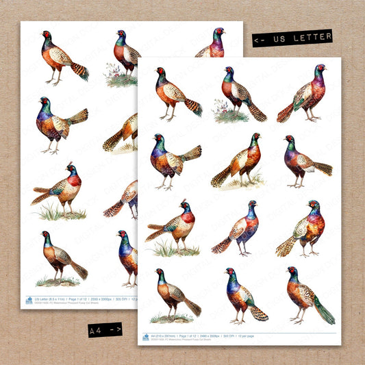 A4 and US Letter format comparison showing Watercolour Pheasant fussy cut pages for print and cut crafting