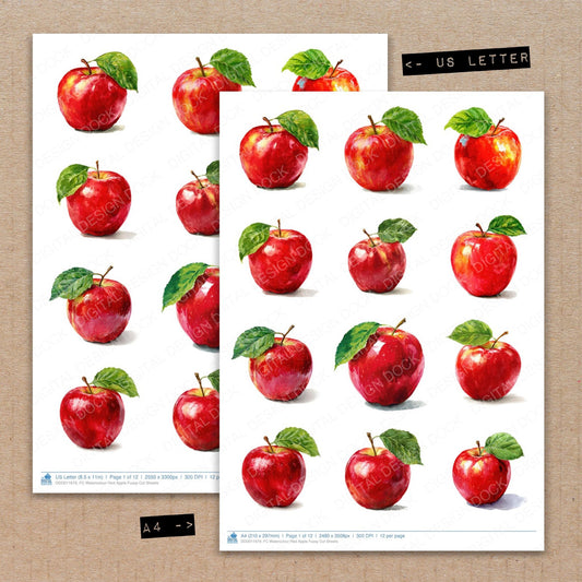 A4 and US Letter format comparison showing Watercolour Red Apple fussy cut pages for print and cut crafting