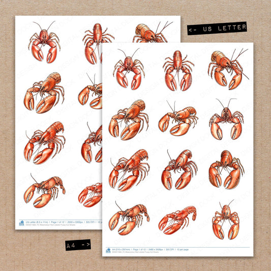 A4 and US Letter format comparison showing Watercolour Red Lobster fussy cut pages for print and cut crafting