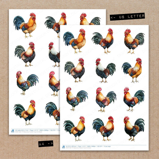 Watercolour Rooster Fussy Cut Sheets (DDD011692)
