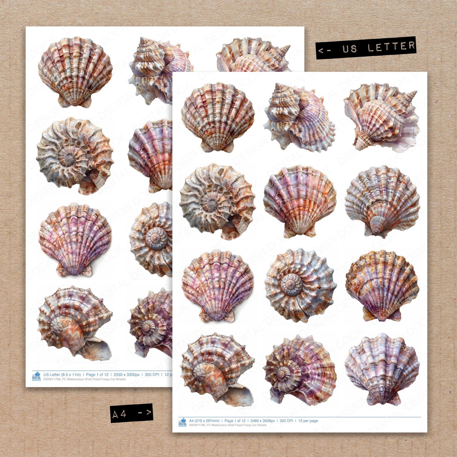 A4 and US Letter format comparison showing Watercolour Shell Fossil fussy cut pages for print and cut crafting