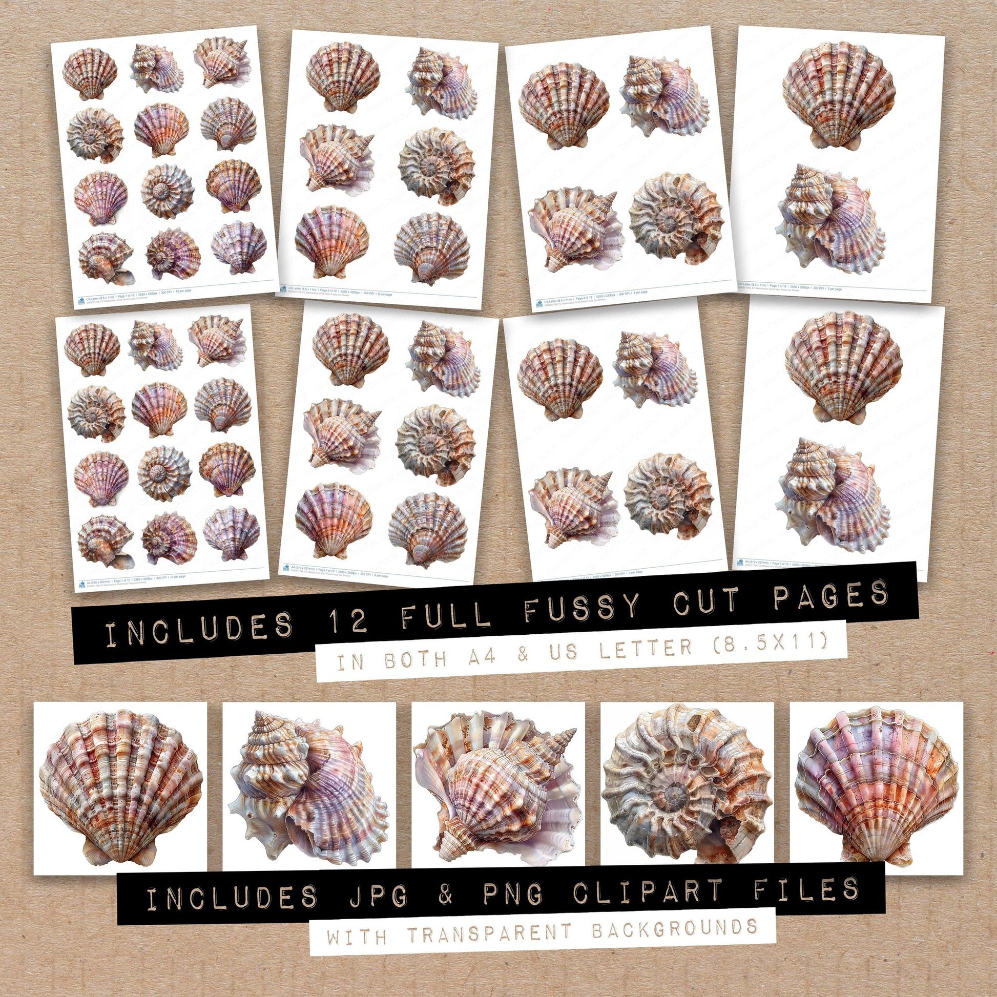 Full collection view of Watercolour Shell Fossil fussy cut sheets with bonus clipart JPG and PNG files