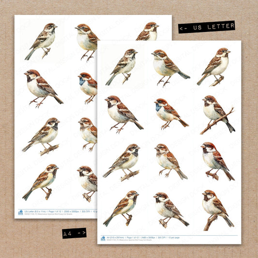 A4 and US Letter format comparison showing Watercolour Sparrow Bird fussy cut pages for print and cut crafting