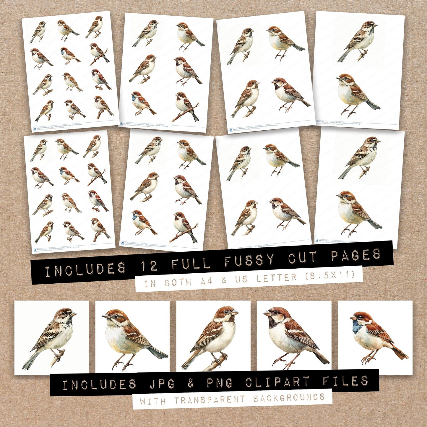 Full collection view of Watercolour Sparrow Bird fussy cut sheets with bonus clipart JPG and PNG files