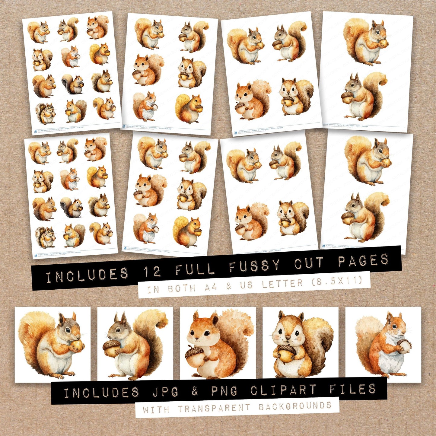 Full collection view of Watercolour Squirrel Acorn fussy cut sheets with bonus clipart JPG and PNG files