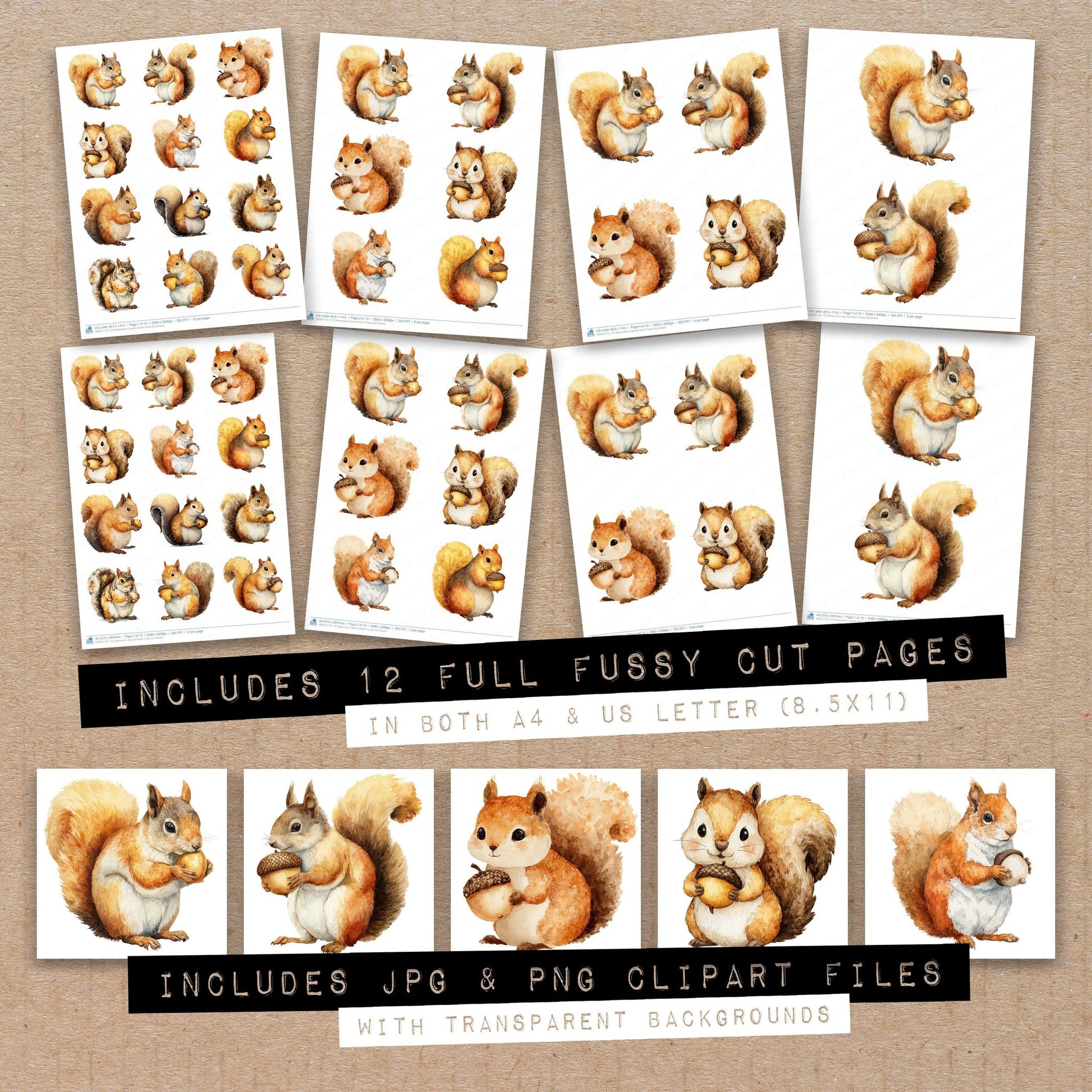 Full collection view of Watercolour Squirrel Acorn fussy cut sheets with bonus clipart JPG and PNG files