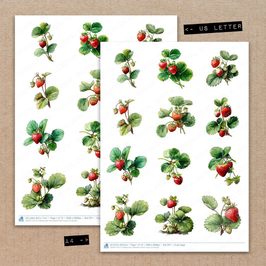 A4 and US Letter format comparison showing Watercolour Strawberry Plant fussy cut pages for print and cut crafting